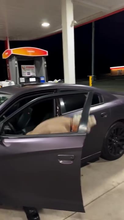 Gas Station Mop Dance